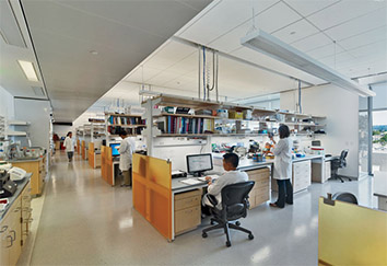Argesol Laboratuvar